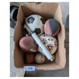 Misc. Sports Balls & Hand Pump