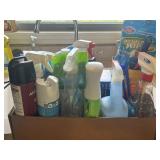 Misc. Cleaning Supplies (partials)