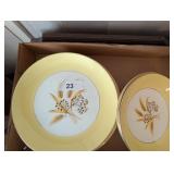Century Service Corporation Semi-Vitreous Plates
