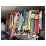 Young Adult / Teen Books
