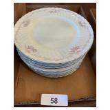(12) China Dinner Plates