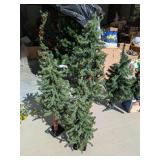 Set of Three Slim Forest-Style Christmas Trees w/ Set of Three Slim Forest-Style Christmas Trees w/