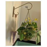 Brass Hanging Planter w/ Wall Bracket