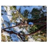 Heavy Duty Wire Cable