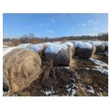 (1) 2025 Round Bale of Hay