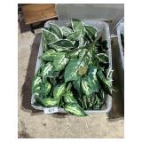 Small Tote w/ Lid + Silk Foliage