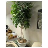 7-1/2ft. Silk Tree + Other Small Artificial