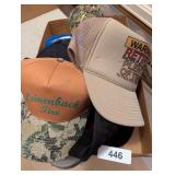 (10) Advertising Hats