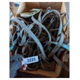 Assorted Bungee Straps