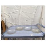(4) Clear Glass Vases