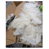 Ostrich Feathers, White