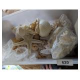 Tote w/ Lid + Beach Themed Items