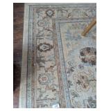 Area Rug 8