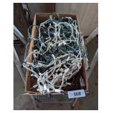 Christmas Lights & Extension Cord