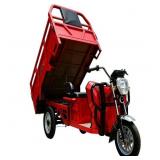 SDLANCH IRET13 Elec. Tricycle w/ Dump Bed (Black)