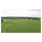 Tract 3: ±17.4 Acres