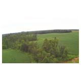 Tract 5: ±29.3 Acres