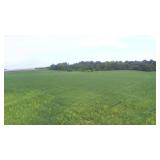 Tract 8: ±8.8 Acres