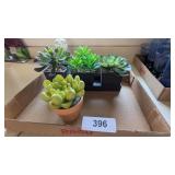 Artificial Succulents