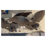 (2) Cast Iron American Bald Eagles