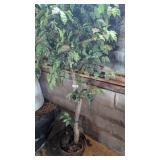 Artificial Tree