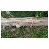 Cedar Log
