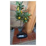 Decorative Lemon Tree & Rock