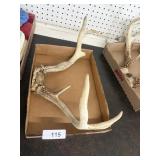 Deer Antlers 8 Point