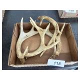 (4) Pcs. Deer Antler