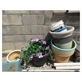 Planters