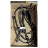 Tarp Straps