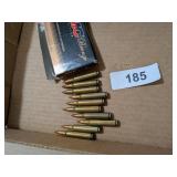 (10) 223 Remingtons Ammo