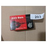 .223 REM Target Ammo