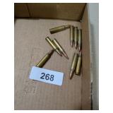 (9) Rem 223 ammo