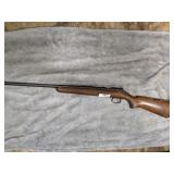 Remington 22 Long Rifle
