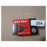 .223 REM Target Ammo