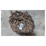 Chain w/ 2 Hooks - approx. 12ft