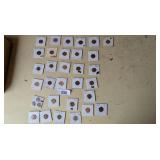 (31) Labeled/Sleeved Pennies