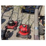 Craftsman Briggs & Stratton M110 Push Mower