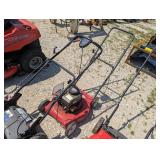 Briggs & Stratton Push Mower
