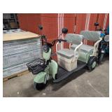 Mini Golf Cart - MGC40