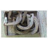 (7) Horse Shoes
