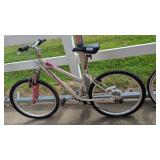 Roadmaster Bicycle