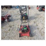 Briggs & Stratton Push Mower