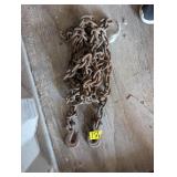 2 Hook Chain - ~17ft.