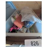 Plastic Organizer Tote w/ Bathroom Accessories