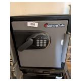 Sentry Safe