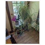 Metal Tube Design Plant Stand w/