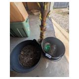 Plastic Kettle Shape Flower Pots, Artificial Tree,