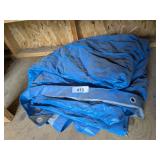 Tarp